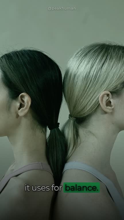 Frame from a ClipWill video